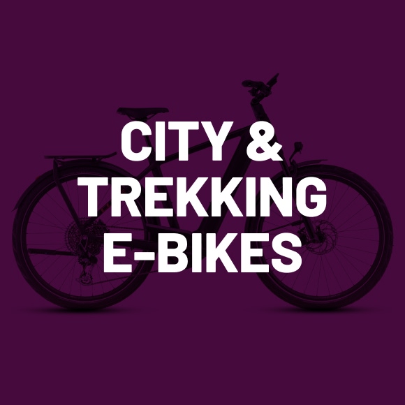 Image Trekking E-Bikes