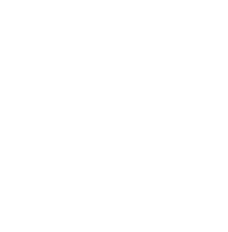 Icon Strava