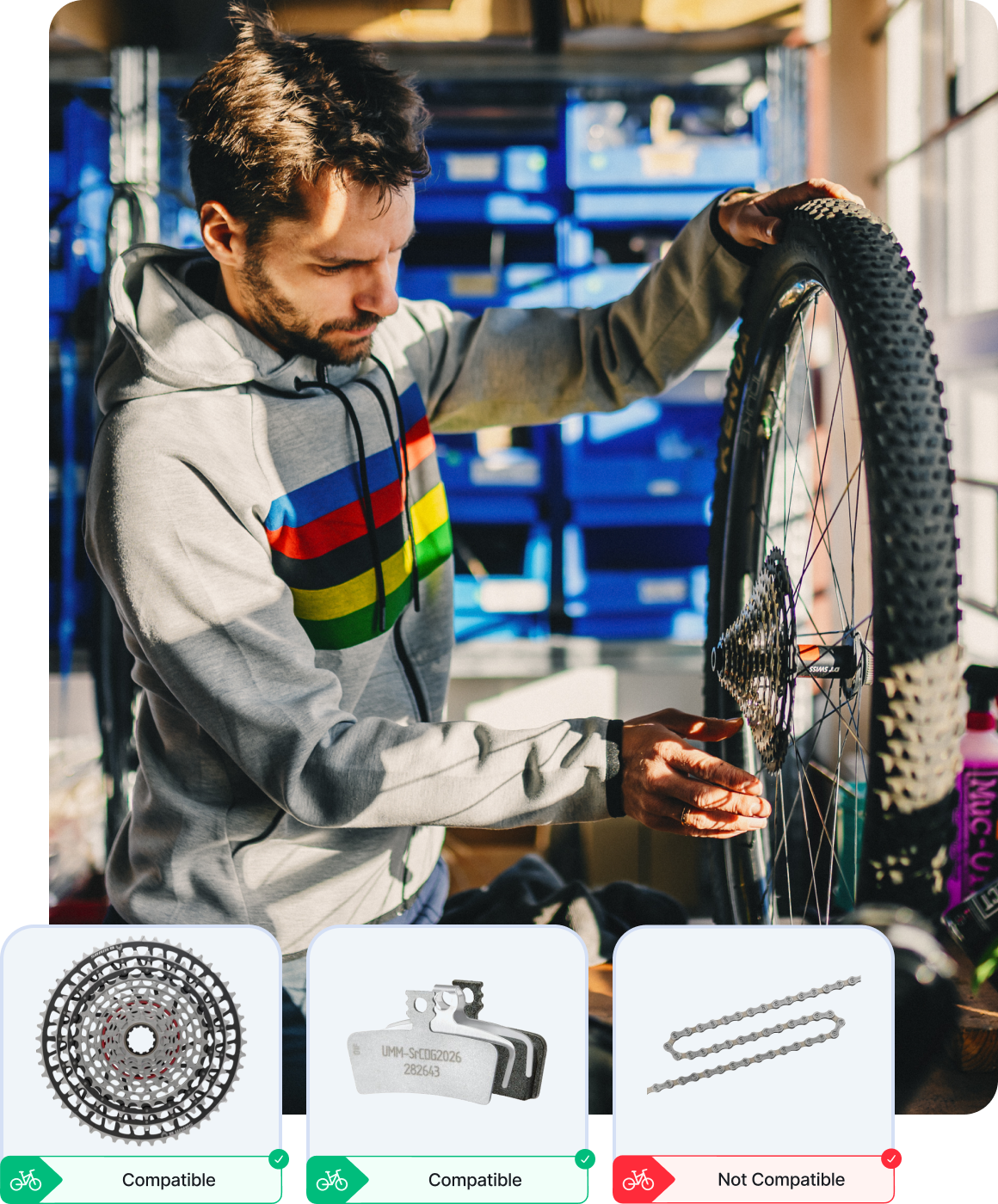 Image Bike Matrix