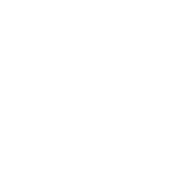 Icon Facebook