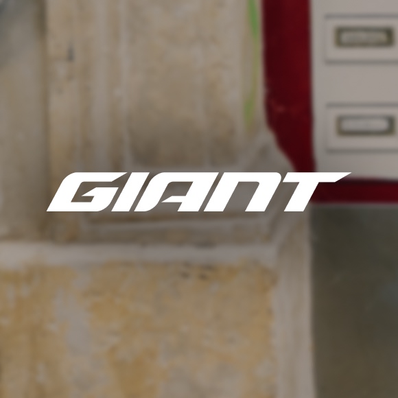 Image Giant
