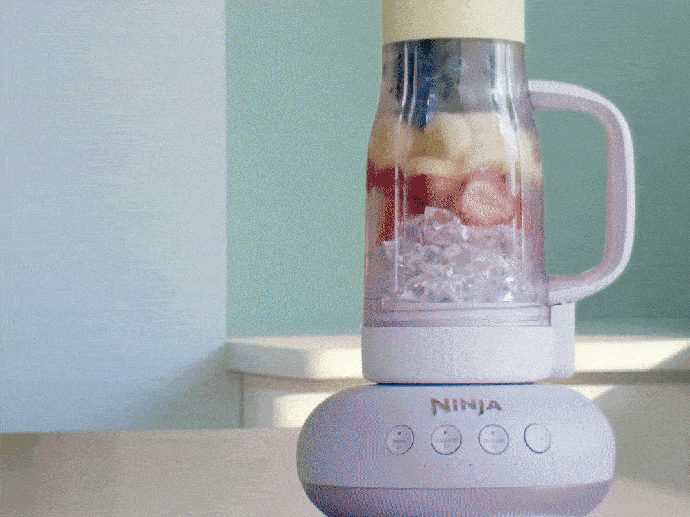 Ninja BlendBOSS Blender