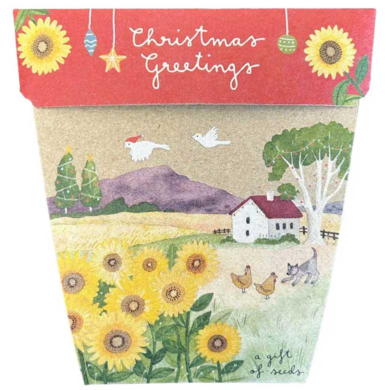 Image of Sow &#39;n Sow Gift of Seeds Christmas Card