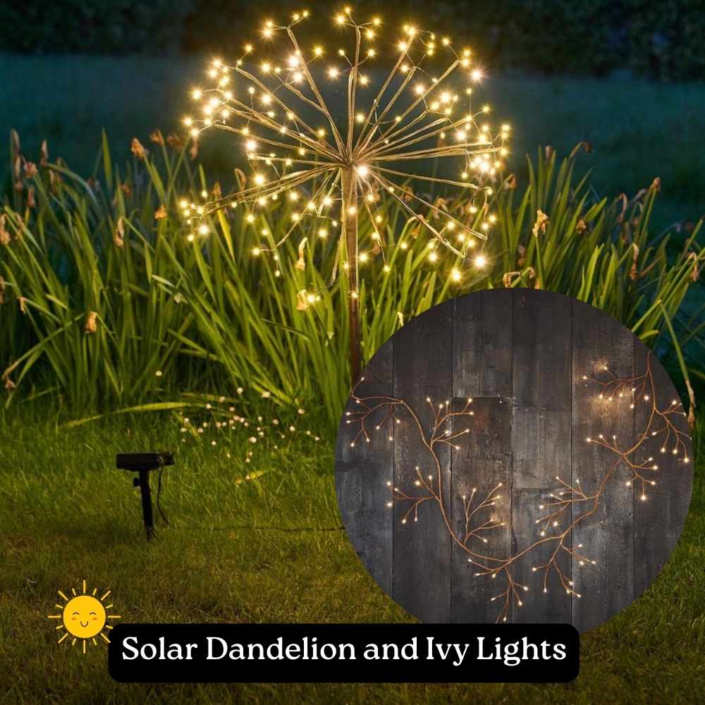 Solar Dandelion and Ivy Lights