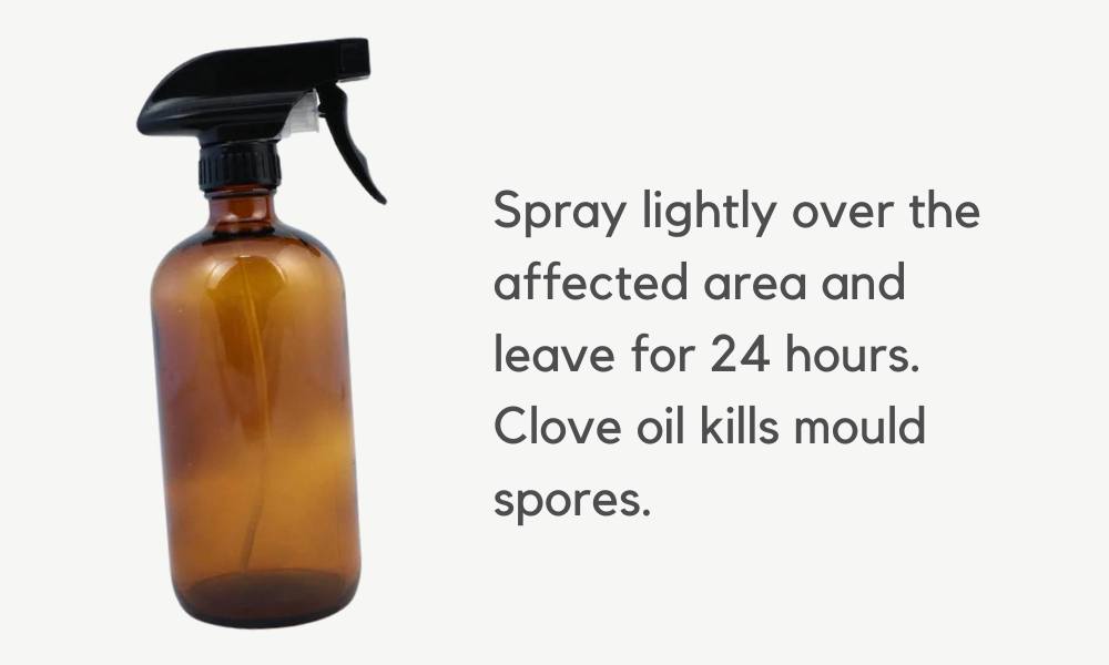 Spray bottle