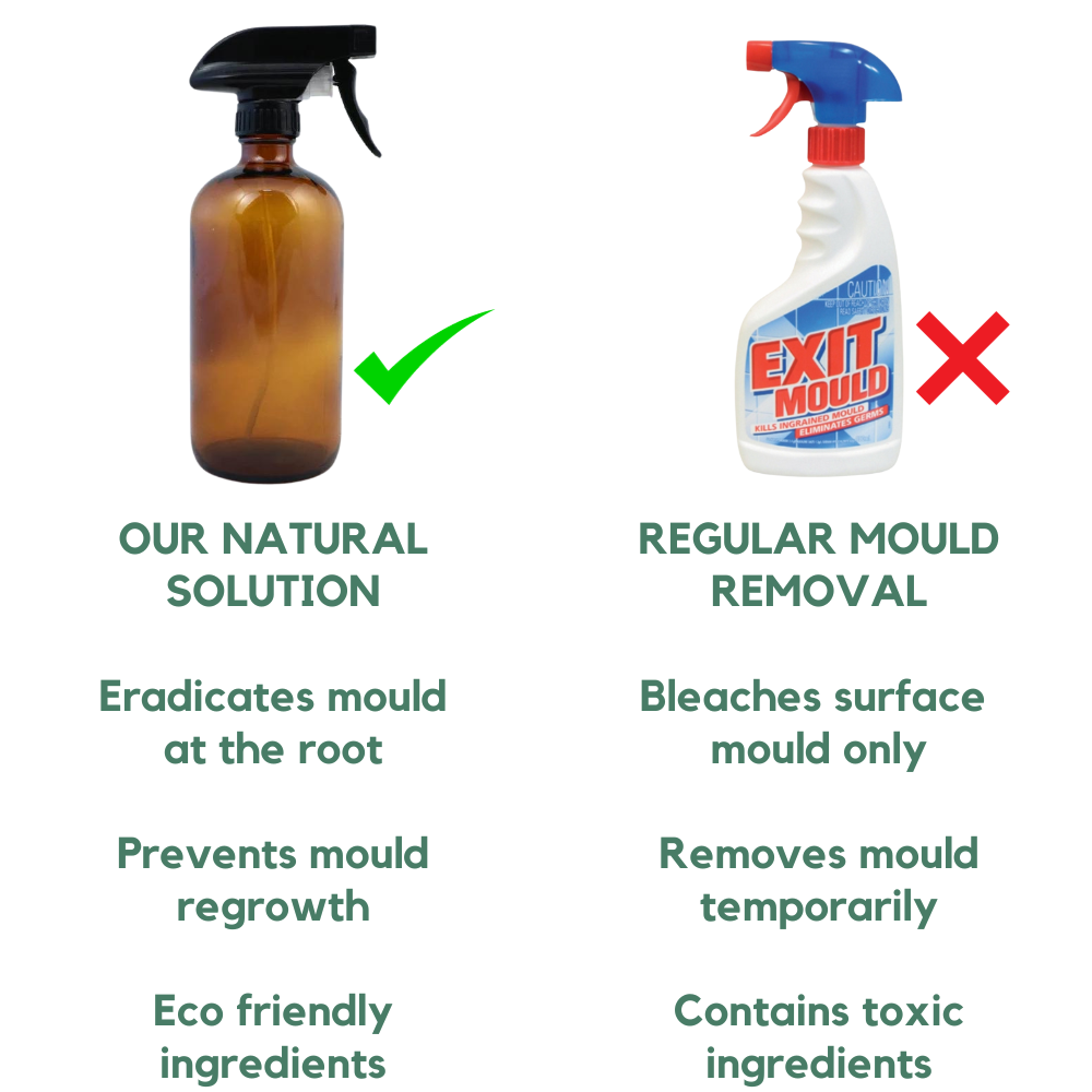 Mould removal