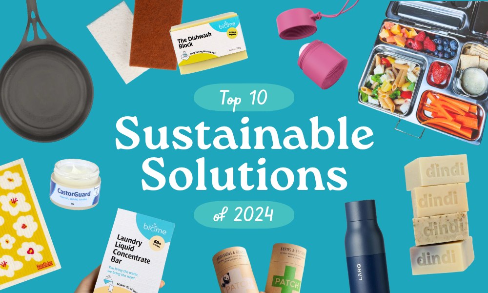 Read all about the Top 10 sustainable solutions