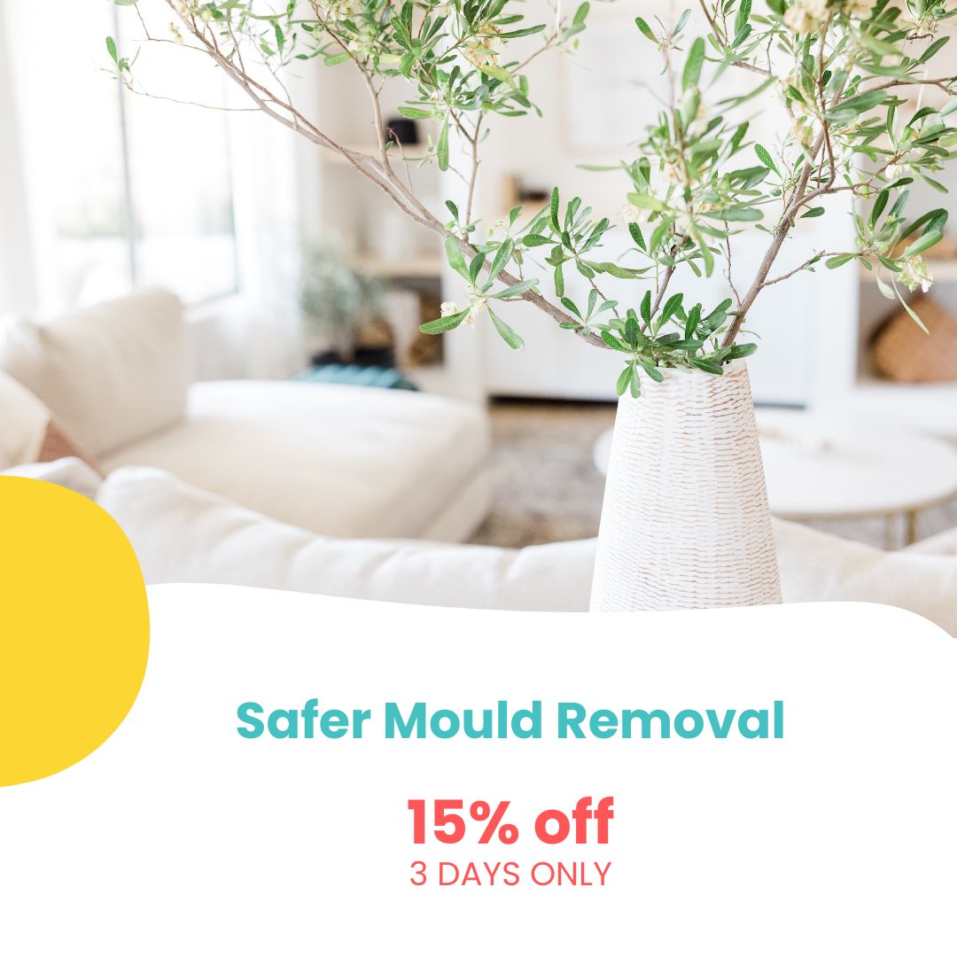 Safe Mould Busters That Work!