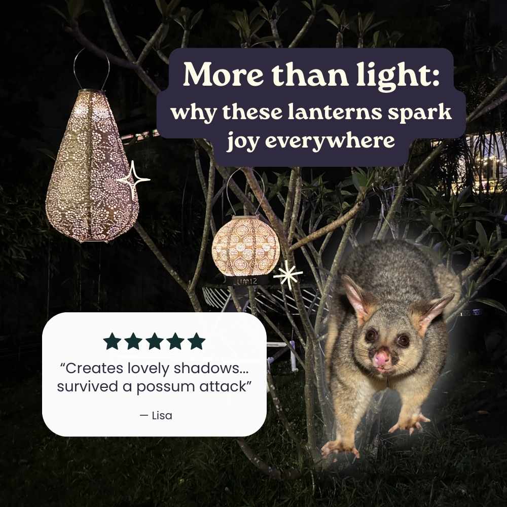 More than light, read why these lanterns spark joy