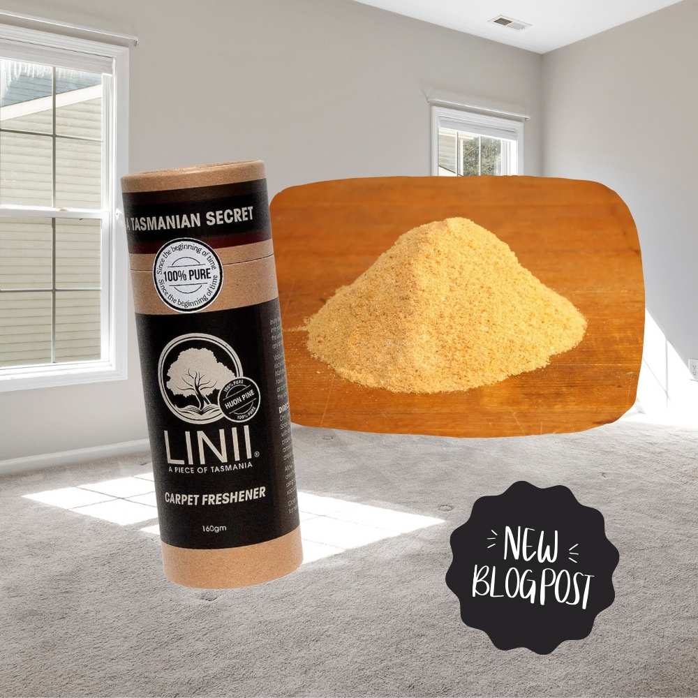 Holes in woolen carpet - what can I do