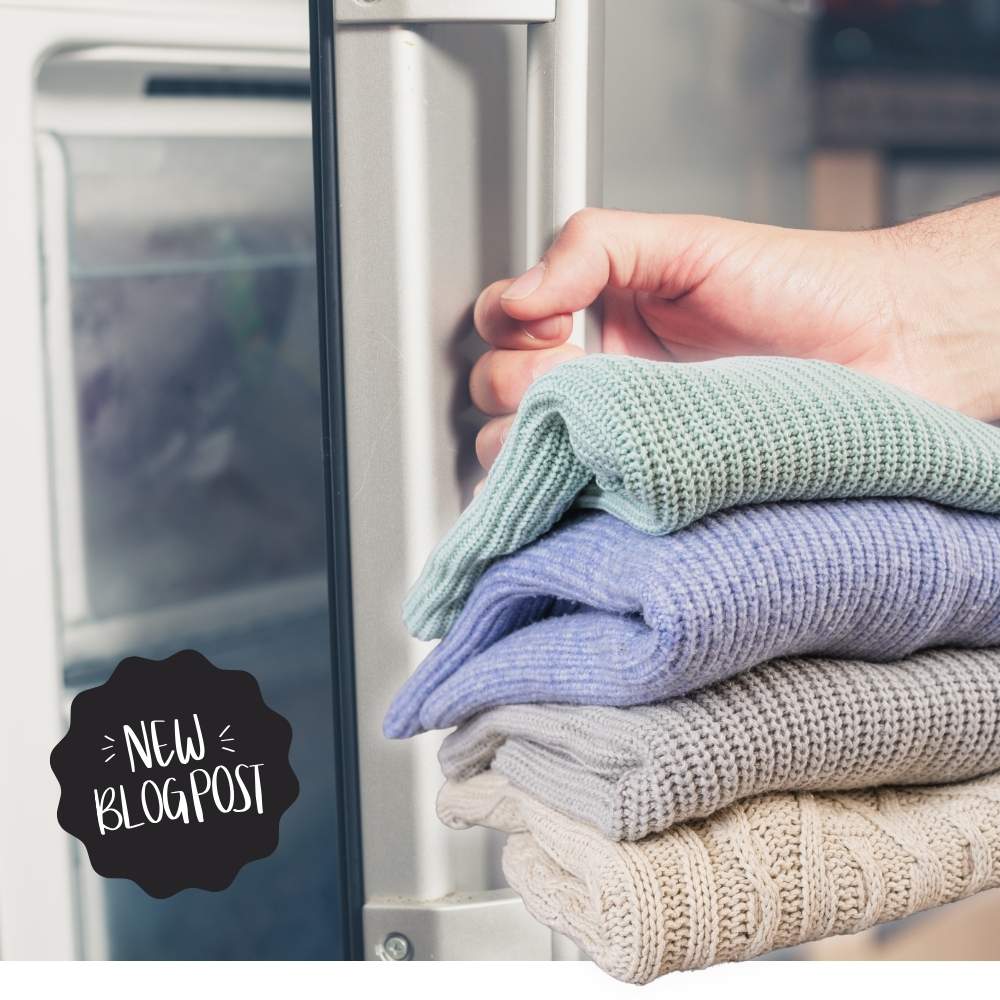 Smart Tactics to Stop Clothes Moths