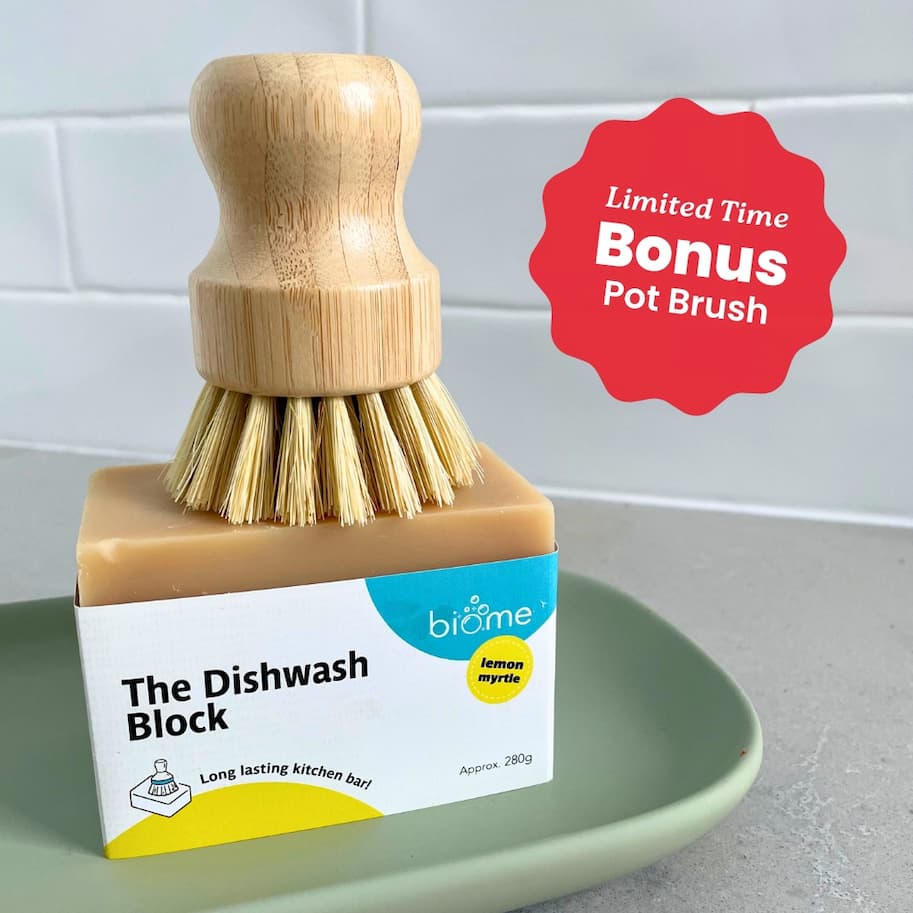 Dishwash Block with bonus pot brush