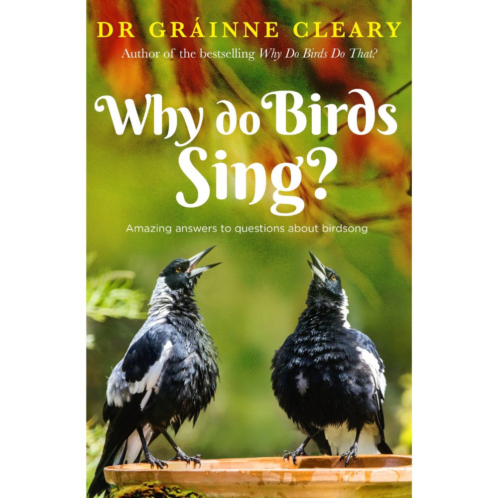 Image of Why Do Birds Sing?