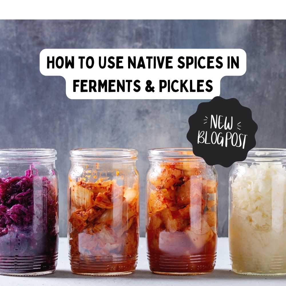 How to use native spices in ferments & pickles