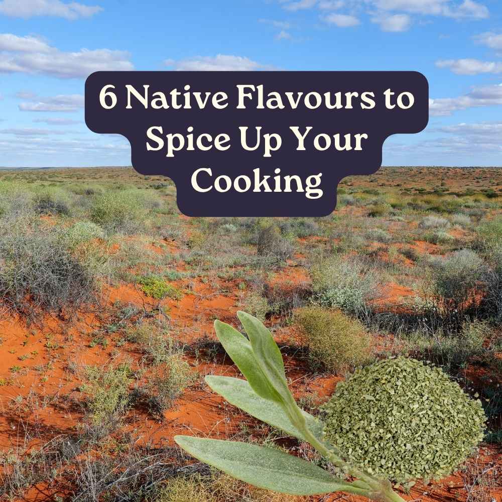 6 native flavours to spice up your cooking