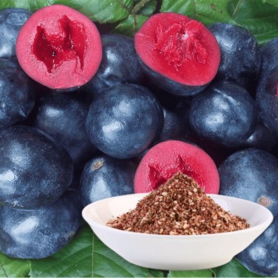 Shop Davidson Plum za'tar