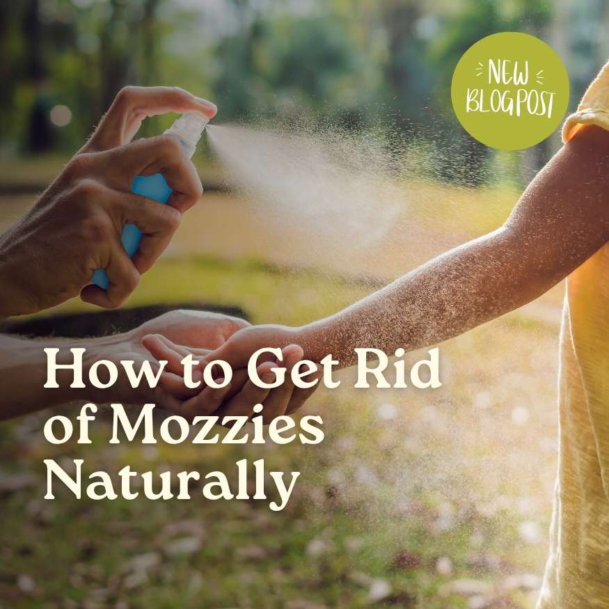 How to get rid of mozzies naturally