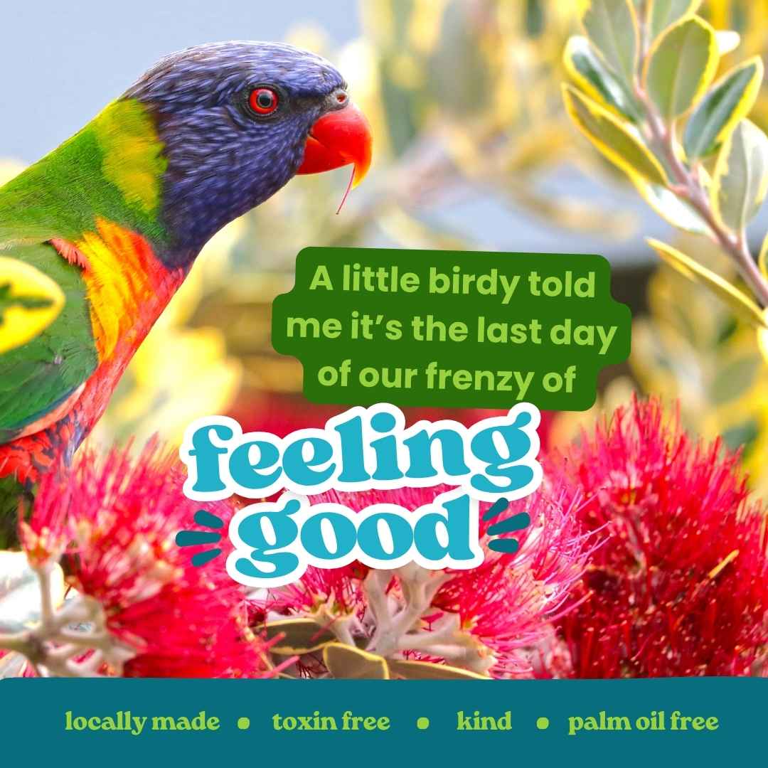 Last Day for our Feel Good Frenzy Sale