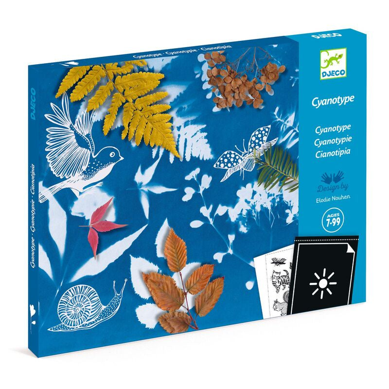 Image of Djeco Cyanotype Starter Kit