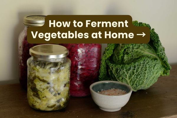 How to ferment vegetables at home