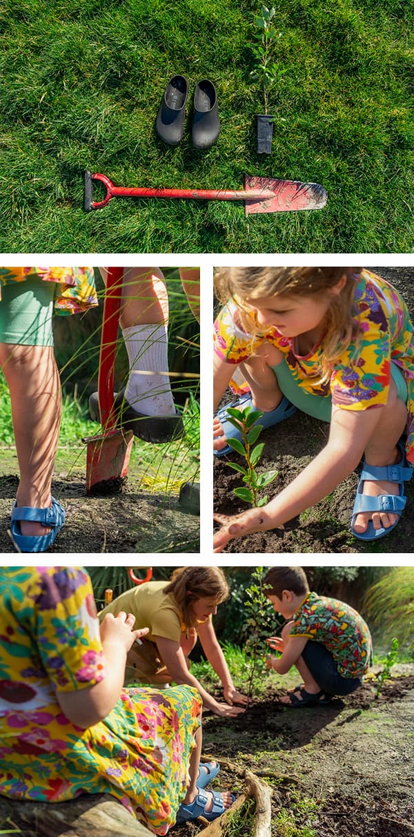 Brie Liberty Birkenstock Kiwi Summer Story