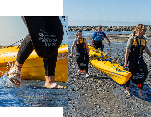 Matt, Kim, and Sam Birkenstock Kiwi Summer Story
