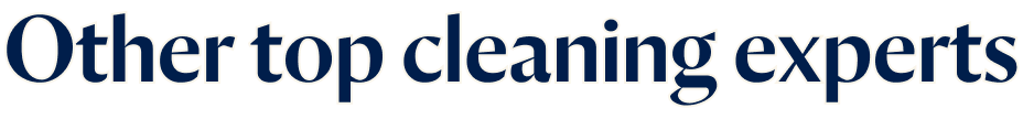 Other Top Cleaning Experts