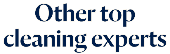 Other Top Cleaning Experts
