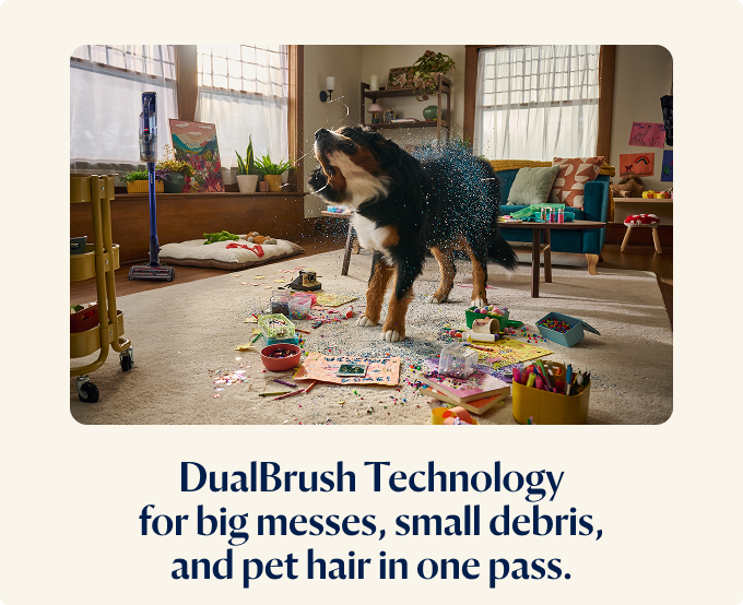 DUALBRUSH TECH