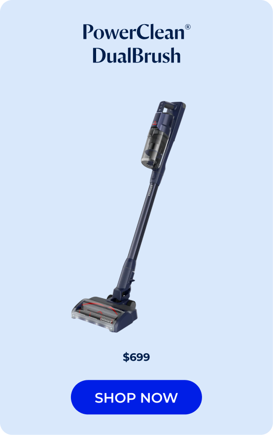 powerclean dualbrush