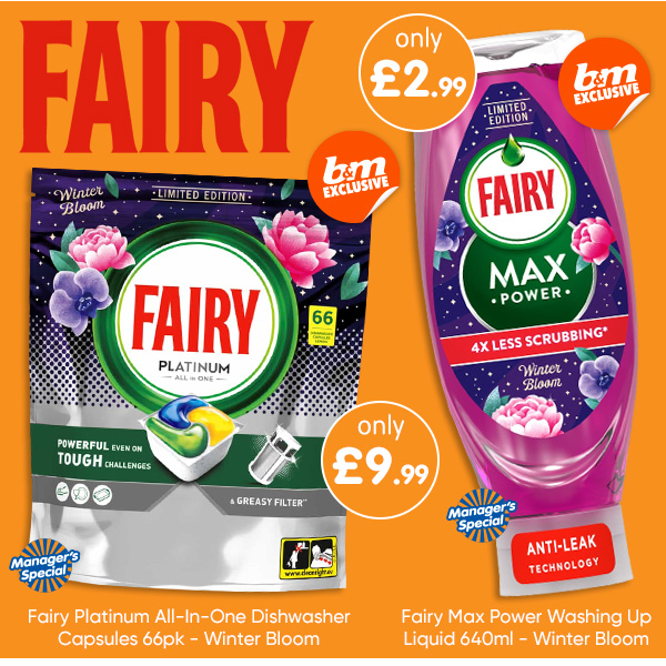 Fairy Winter Bloom at B&M