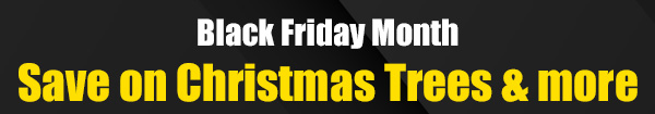 Save on Christmas Trees & More