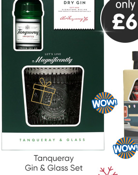 Tanqueray Gin & Glass Set