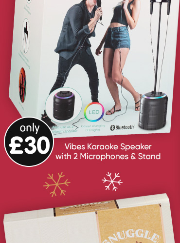 Vibes Karaoke Speaker with 2 Microphones & Stand