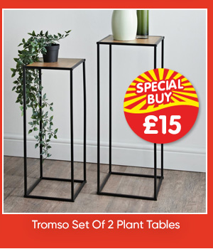 Tromso Set Of 2 Plant Tables