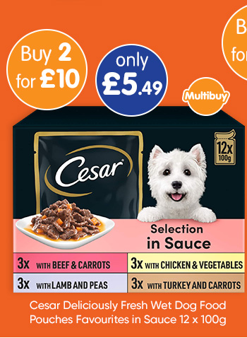 Cesar Deliciously Fresh Wet Dog Food Pouches Favourites in Sauce 12 x 100g