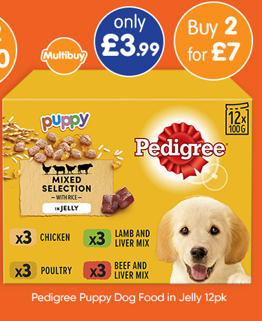 Pedigree Puppy Dog Food in Jelly 12pk