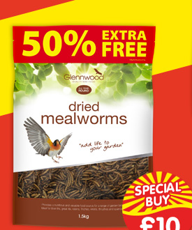 Glennwood Dried Meal Worms 1.5kg