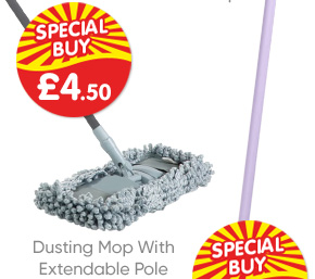 Dusting Mop With Extendable Pole