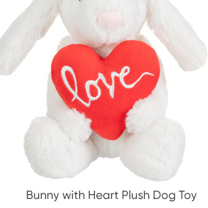 Bunny with Heart Plush Dog Toy