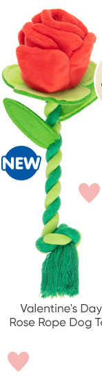 Valentine's Day Rose Rope Dog Toy