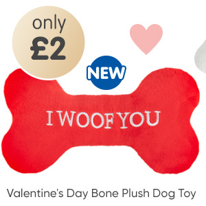 Valentine's Day Bone Plush Dog Toy