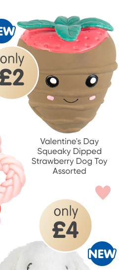 Valentine's Day Squeaky Dipped Strawberry Dog Toy - Assorted