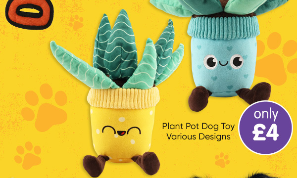 Plant Pot Dog Toy - Various Designs