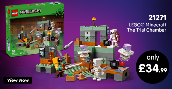 LEGO Minecraft The Trial Chamber 21271