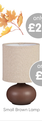 Small Brown Lamp