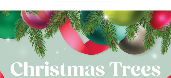 Christmas Trees at B&M