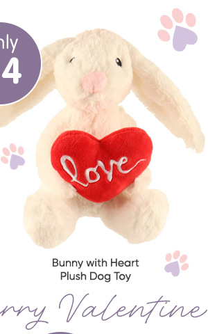 Bunny with Heart Plush Dog Toy