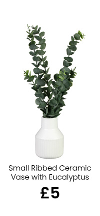 Small Ribbed Ceramic Vase with Eucalyptus