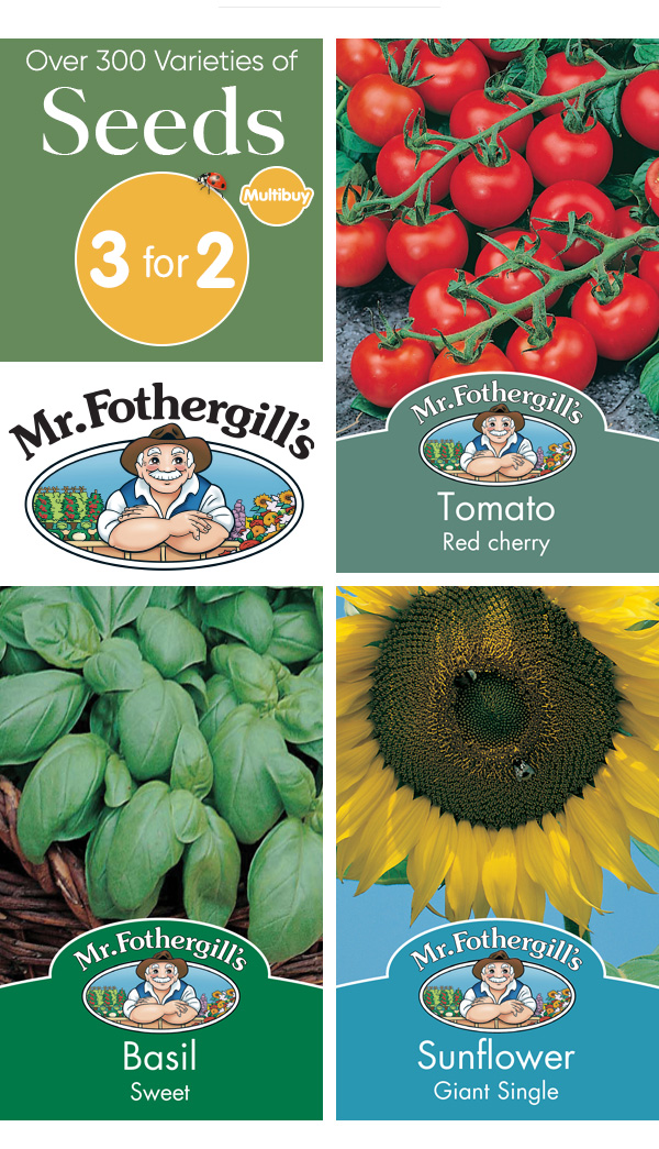 Over 300 Varieties of Seeds at B&M